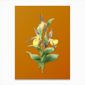 Vintage Sabot des Alpes Botanical on Sunset Orange n.0029 Canvas Print