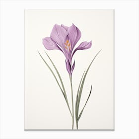 Saffron Vintage Botanical Herbs 3 Canvas Print