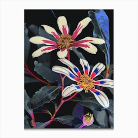 Neon Flowers On Black Cineraria 4 Canvas Print