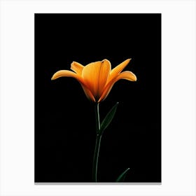 Orange Lily 1 Canvas Print