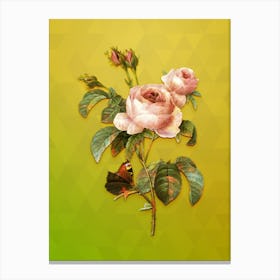 Vintage Provence Rose Botanical Art on Empire Yellow n.0884 Canvas Print