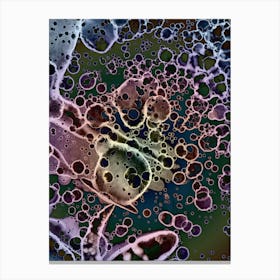 A Rainbow In The Negative 2 Canvas Print