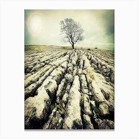 Causeway Tree 1 Canvas Print