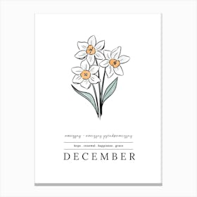 December Narcissus Birth Flower 2 Canvas Print