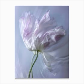 2024 May Poster Icm Flower 4 Canvas Print