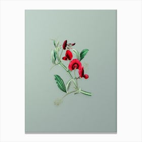 Vintage Tangier Pea Flower Botanical Art on Mint Green Canvas Print