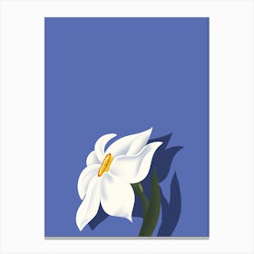 White Flower Canvas Print