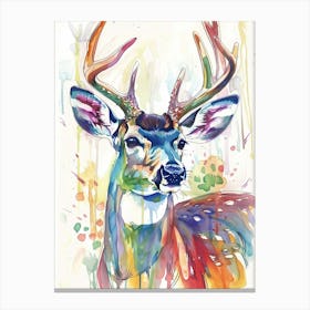 Deer Colourful Watercolour 4 Canvas Print