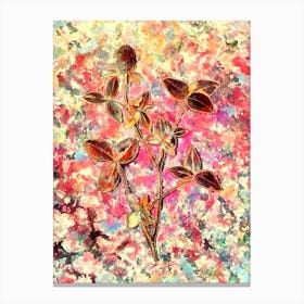 Impressionist Pink Clover Botanical Painting in Blush Pink and Gold Canvas Print