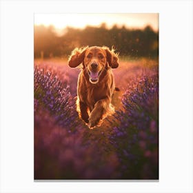 Dog Running Through Lavender Field. Generated AI. Art Print Canvas Print