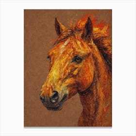 Horse'S Head 1 Canvas Print