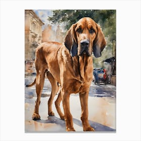 Bloodhounds Two Canvas Print
