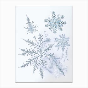 Ice, Snowflakes, Quentin Blake Illustration Canvas Print
