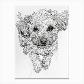 Bichon Frise Dog Line Drawing Sketch 1 Canvas Print
