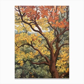 Elm 3 Vintage Autumn Tree Print  Canvas Print