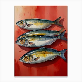 Sardines 6 Canvas Print