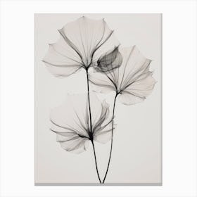 Transparent Botanic No 3 Canvas Print