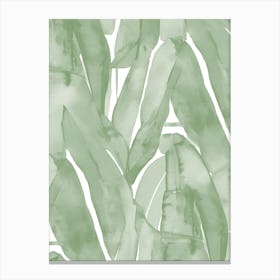Tropical Leaves, Watercolor Sage Green Botanical Canvas Print