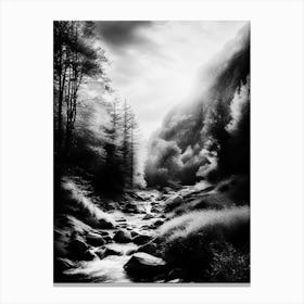 Black And White Mountain Stream 1 Canvas Print