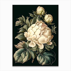 Gardenia Peonies Black Vintage Botanical Canvas Print