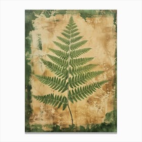 Button Fern Painting 1 Canvas Print