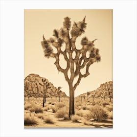 Photograph Of A Joshua Trees In Mojave Desert 2 Canvas Print