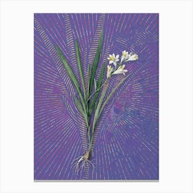 Vintage Gladiolus Xanthospilus Botanical Illustration on Veri Peri n.0688 Canvas Print