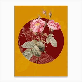 Vintage Botanical Anemone Centuries Rose on Circle Red on Yellow n.0274 Canvas Print