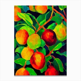 Rambutan Fruit Vibrant Matisse Inspired Painting Fruit Canvas Print