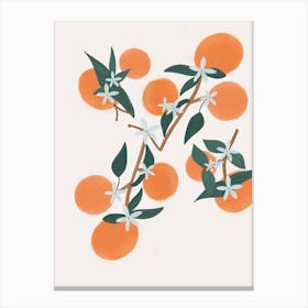 Oranges Light Cream Canvas Print