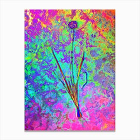 Mouse Garlic Botanical in Acid Neon Pink Green and Blue n.0118 Canvas Print