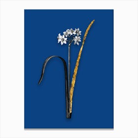 Vintage Cowslip Cupped Daffodil Black and White Gold Leaf Floral Art on Midnight Blue n.0086 Canvas Print