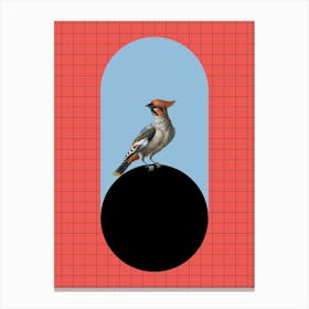 Bird Perched On A Ball Canvas Print