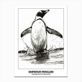 Penguin Hauling Out Of The Water Poster 5 Canvas Print