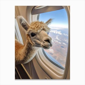 Llama On A Plane 2 Canvas Print