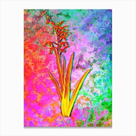 Antholyza Aethiopica Botanical in Acid Neon Pink Green and Blue Canvas Print
