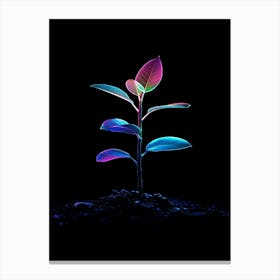 Colorful Plant On Black Background Canvas Print