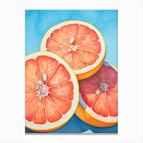 Grapefruits, watercolor Canvas Print