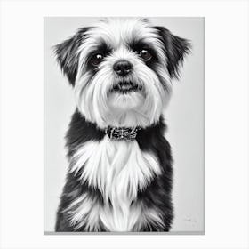 Affenpinscher 2 B&W Pencil dog Canvas Print