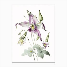 Columbine Floral Quentin Blake Inspired Illustration 1 Flower Canvas Print