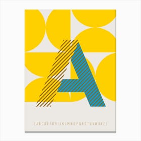 A Typeface Alphabet Canvas Print