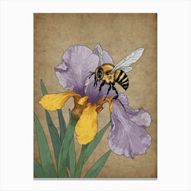 Bee On Iris Canvas Print