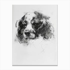 Cavalier King Charles Charcoal Line 1 Canvas Print
