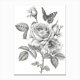 Rose With Butterfly Line Drawing 2 Canvas Print