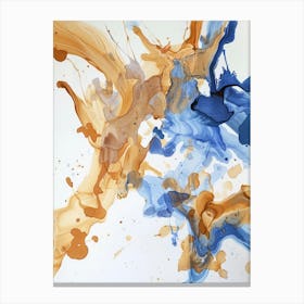 Blue And Orange Splash Canvas Print