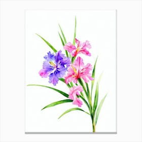 Gladioli 3 Watercolour Flower Canvas Print