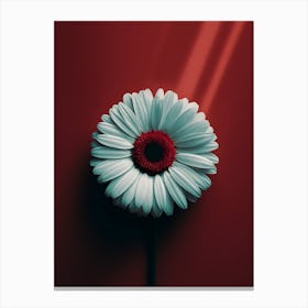 Gerbera Daisy 3 Canvas Print