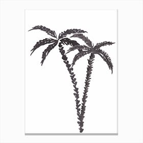 Black Palms Canvas Print