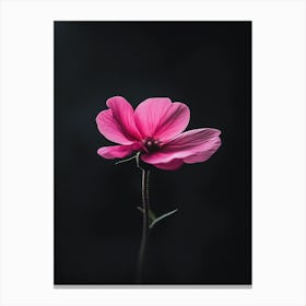 Single Pink Flower 7 Canvas Print