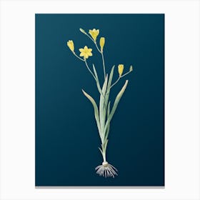 Vintage Ixia Bulbifera Botanical Art on Teal Blue Canvas Print